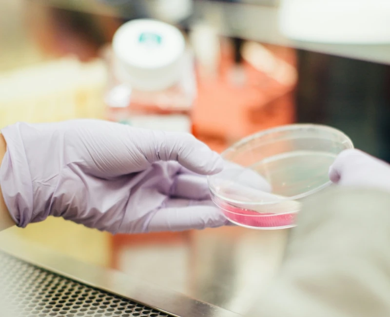 Scientist with a Petri dish